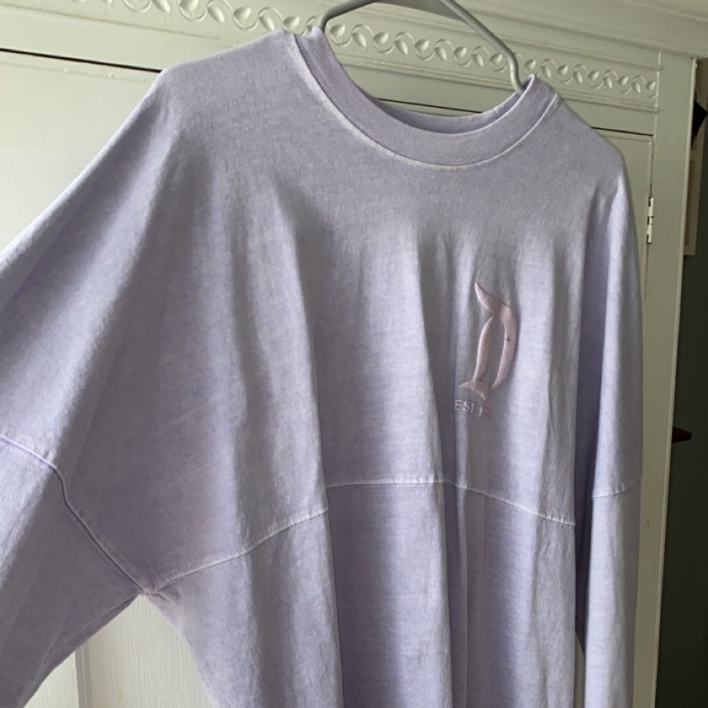 Disneyland spirit jersey